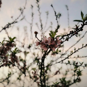 大屌猛男gay玩大鸟搞基手淫射精1069
